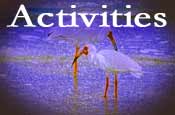 north captiva island activities