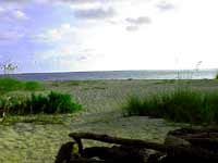 upper captiva island beach