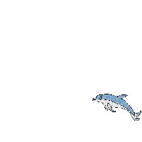 sanibel island dolphin