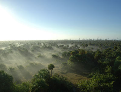 north captiva island nature preserve