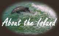 about north captiva island