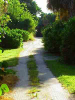 north captiva island view