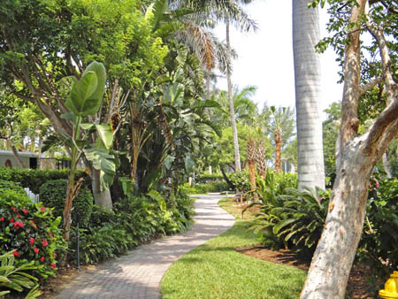 captiva island in florida