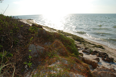 north point rocks on north captiva island