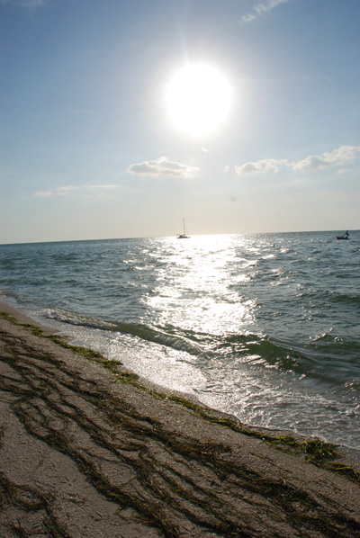 north captiva