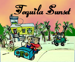 beach vacation rental